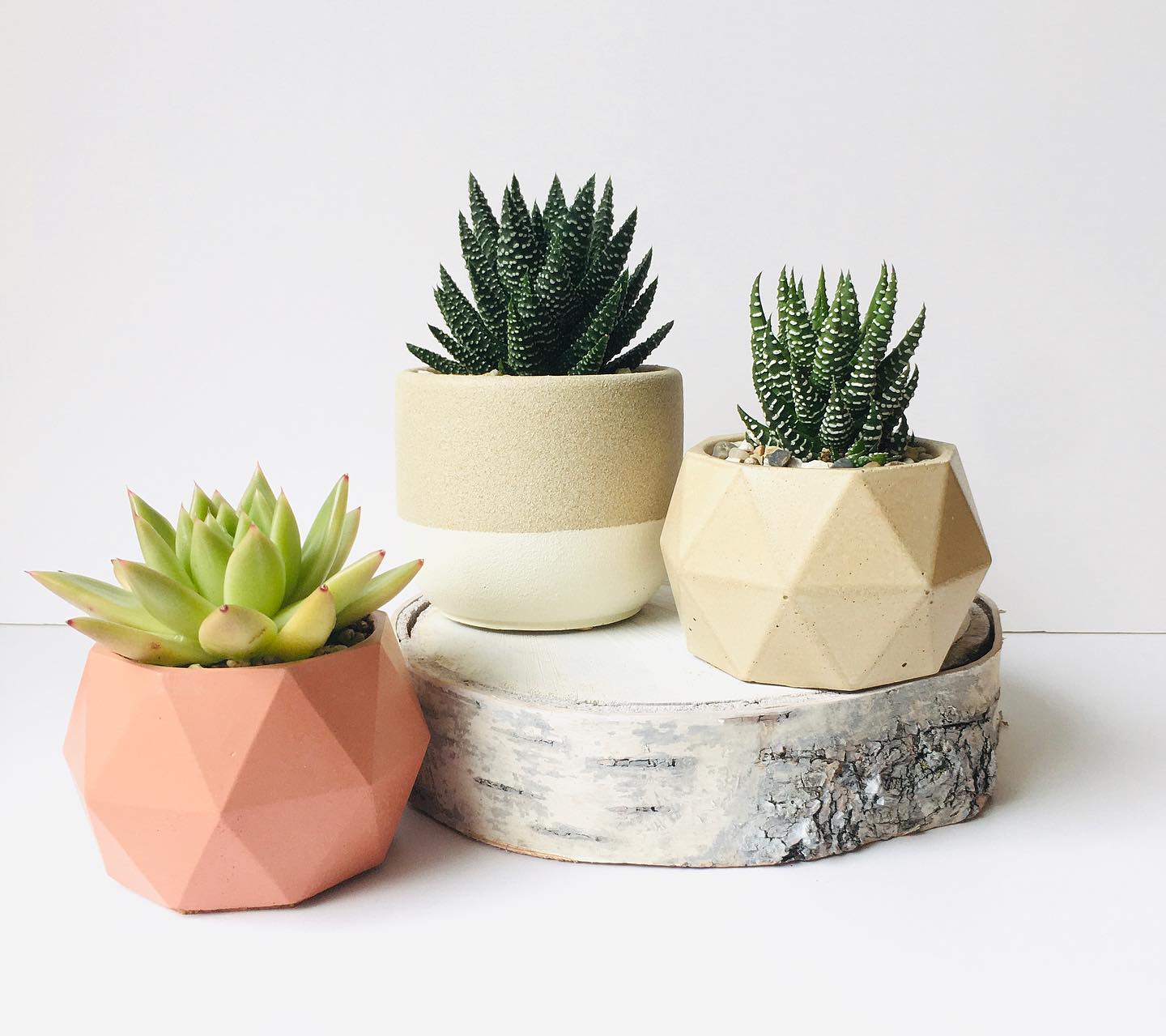 Unique handcrafted clay plant pots