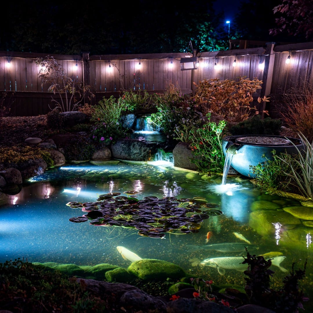 indoor pond with fiber optic lights