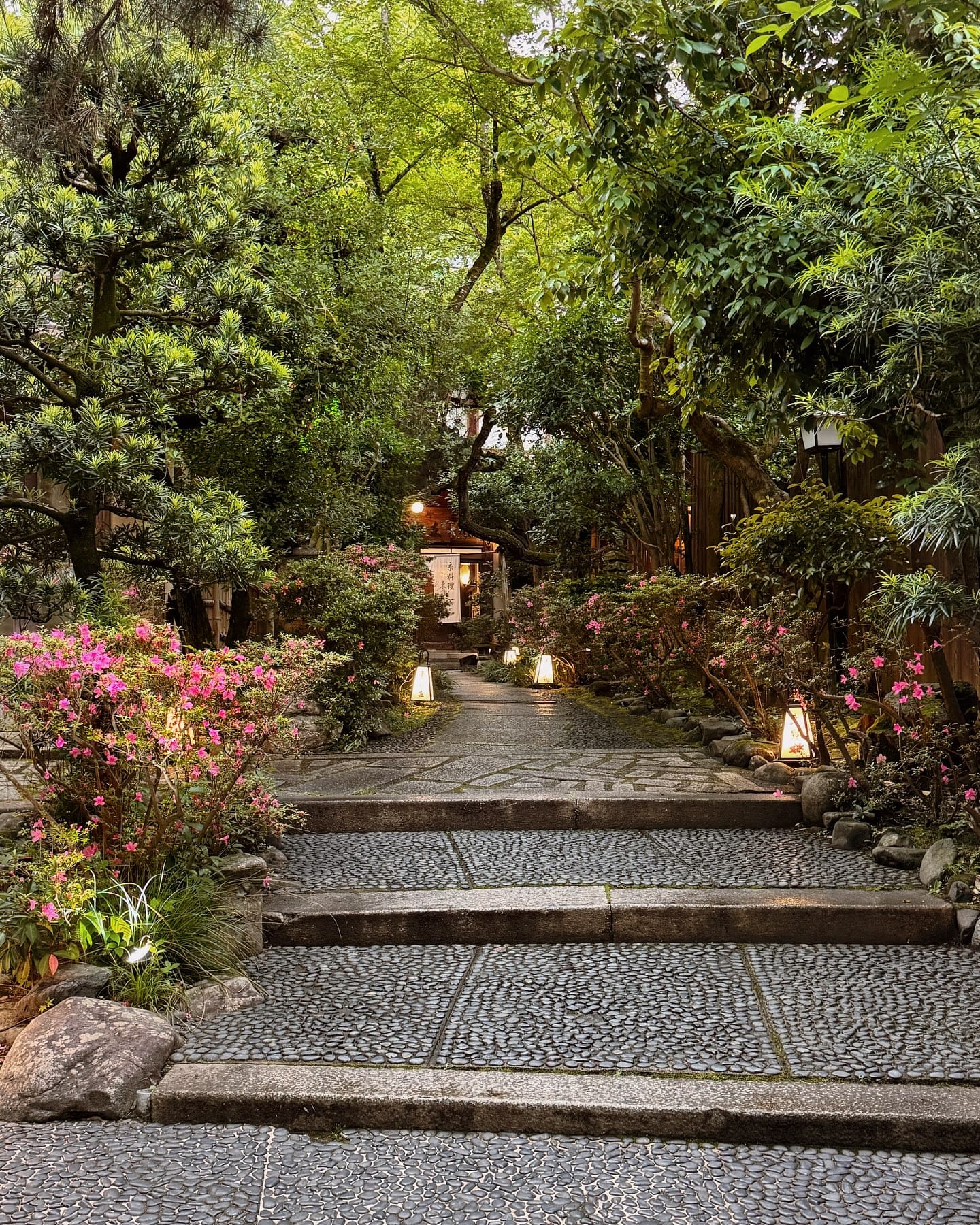 patio with shadows of large leaves
