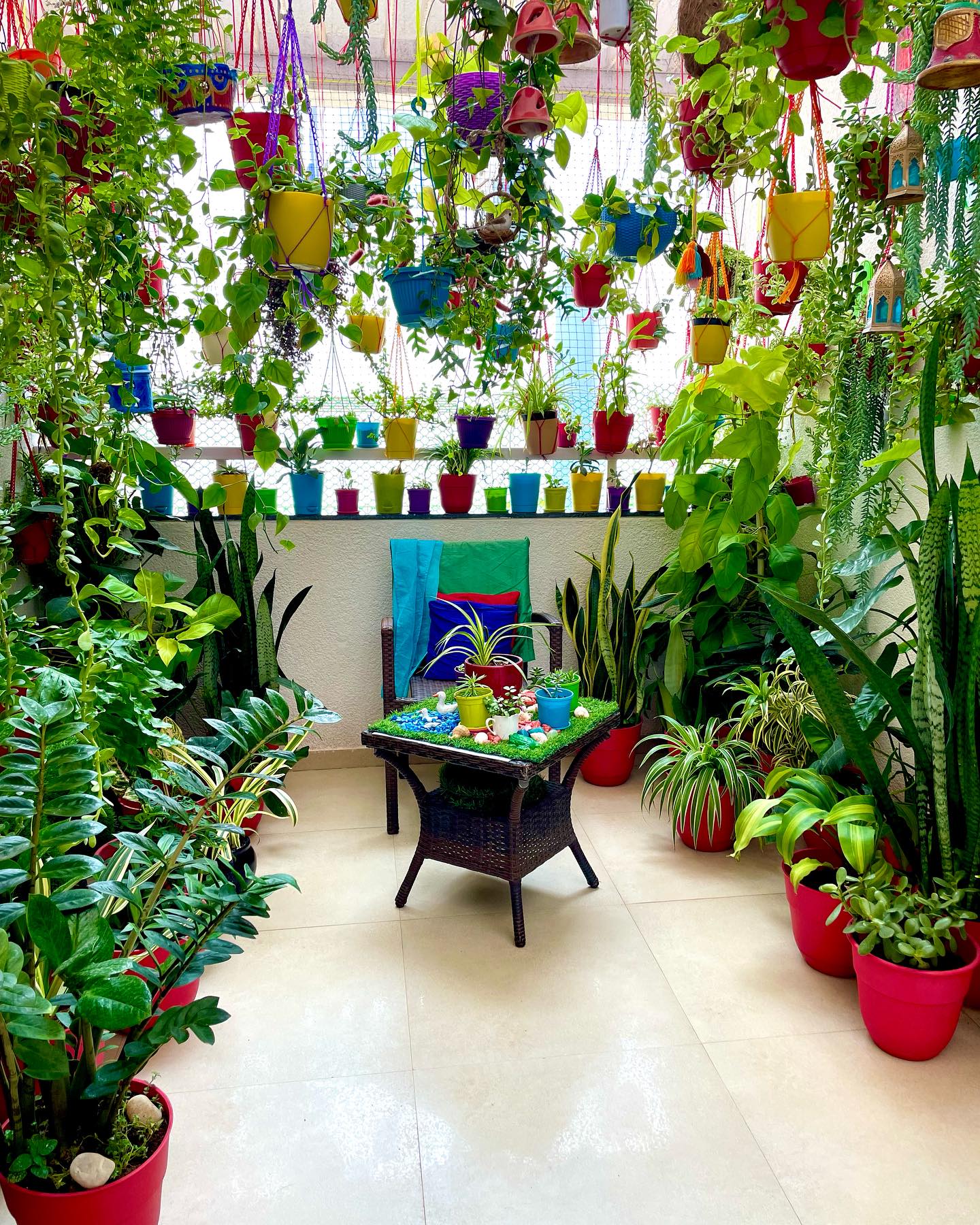 Hanging garden with diverse plant types