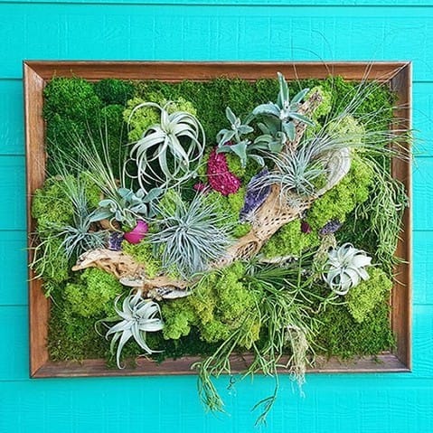 Hand-painted botanical wall mural