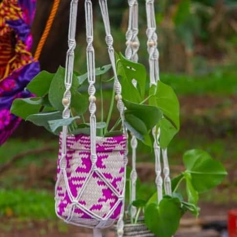 over-the-door plant hangers with trailing ivy