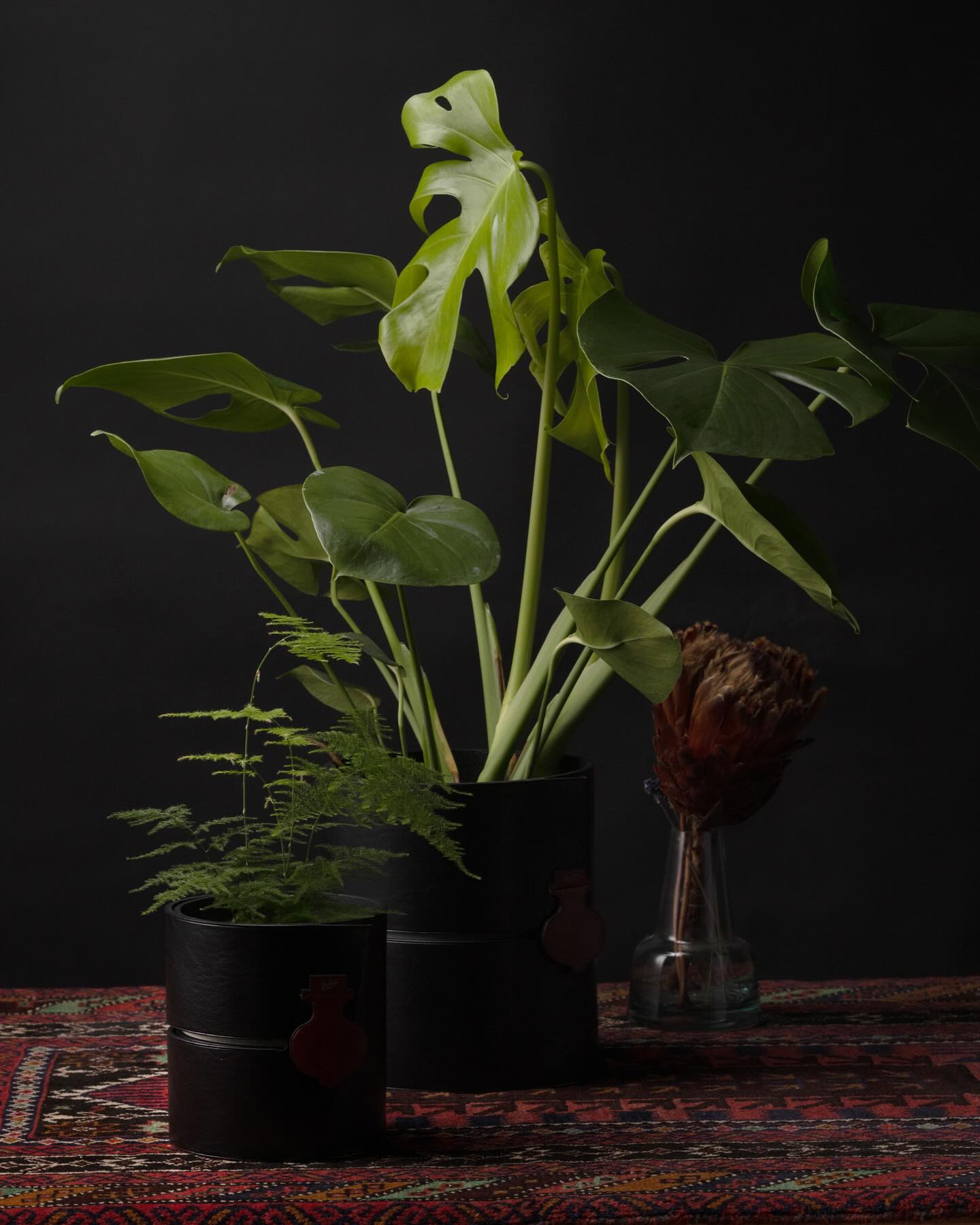 sleek black leather plant sleeve on white shelf