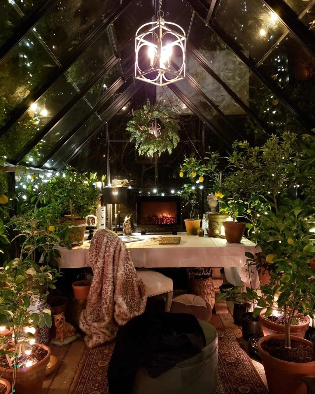 Indoor greenhouse window filled with plants