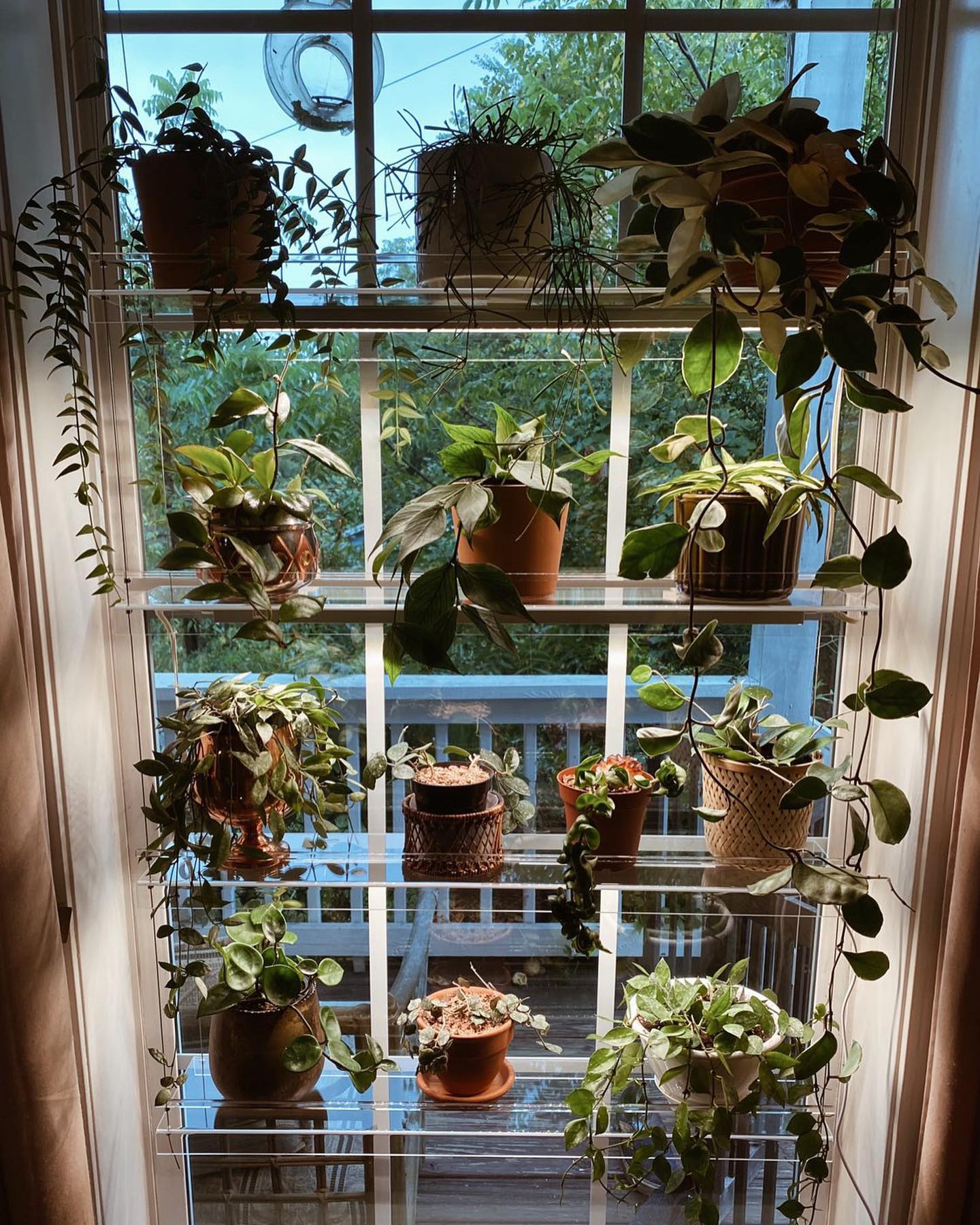 wall-mounted light shelf with plants