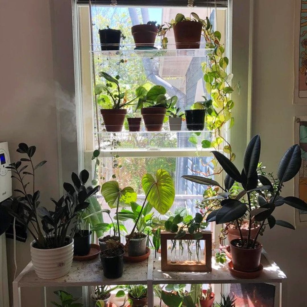 Antique window frame used as a shelf backdrop