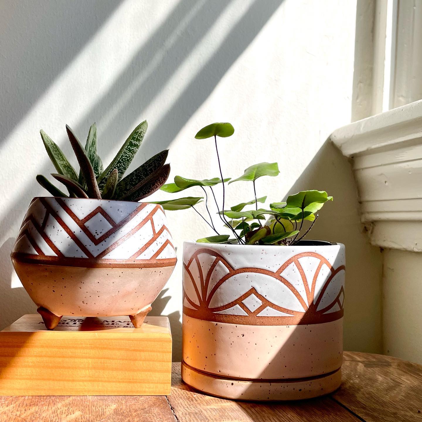 geometric pot casting shadow