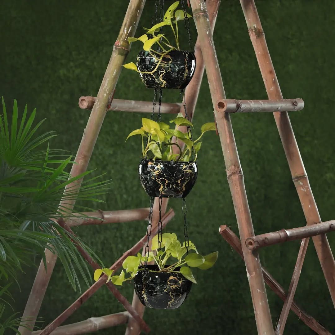 rustic wooden ladder with planters