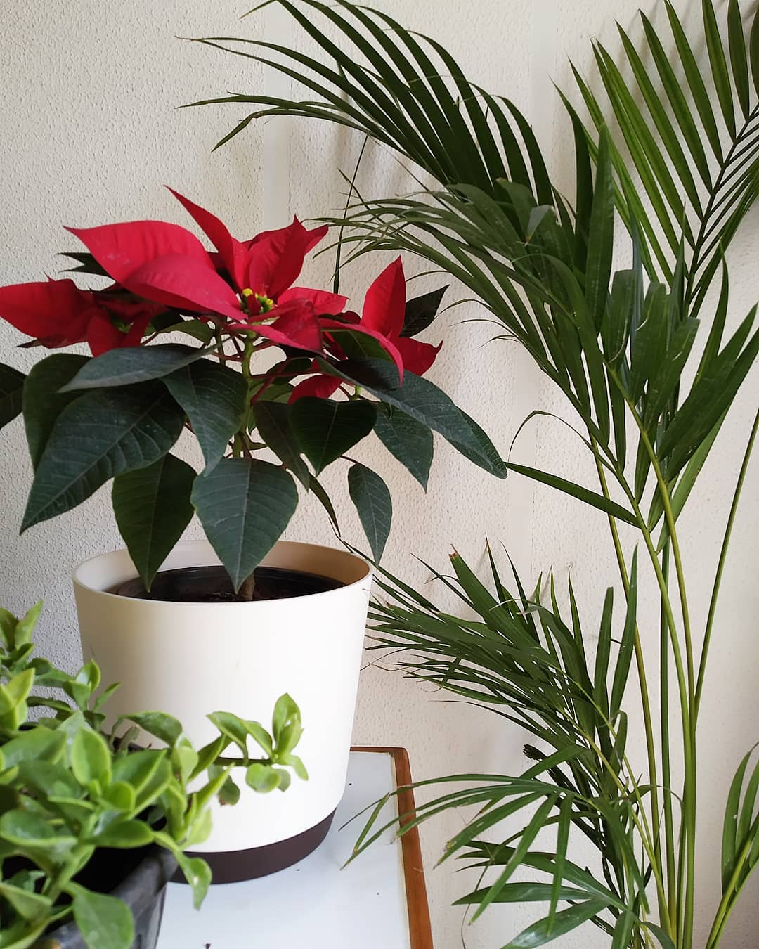 spiral stack of trunks with plants