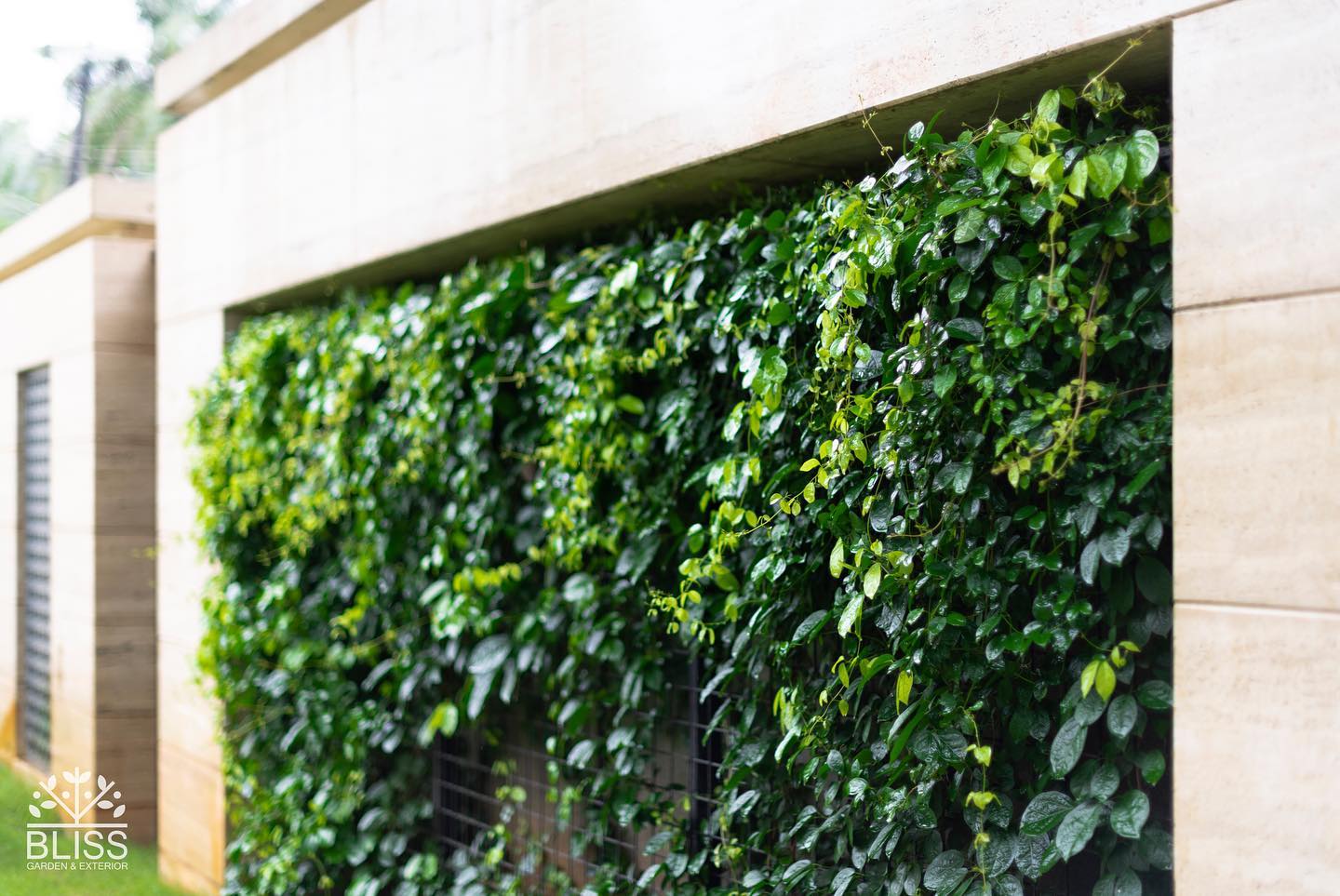 Vertical metal mesh plant wall for small spaces