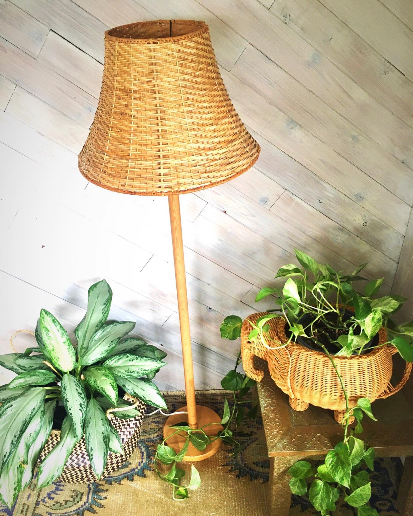 bohemian room with brass planter