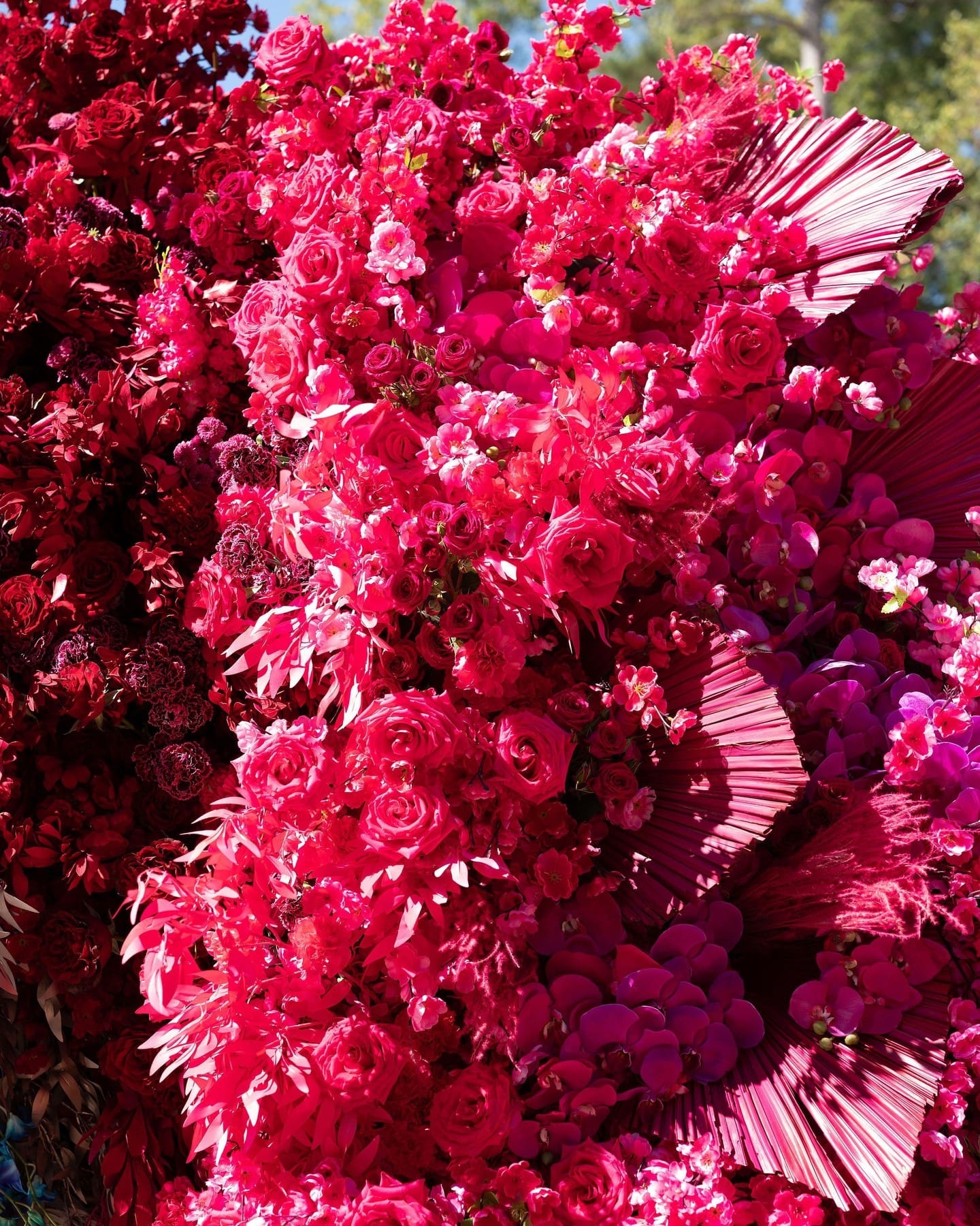 red anthuriums in black pots