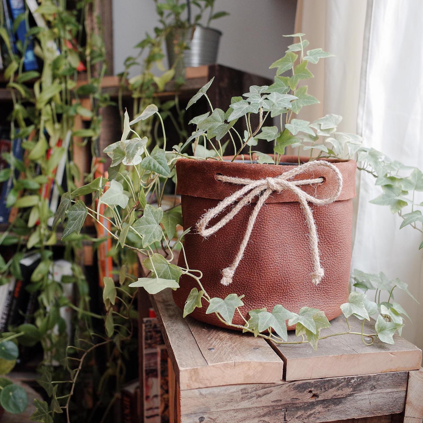 classic brown leather plant sleeve on windowsill