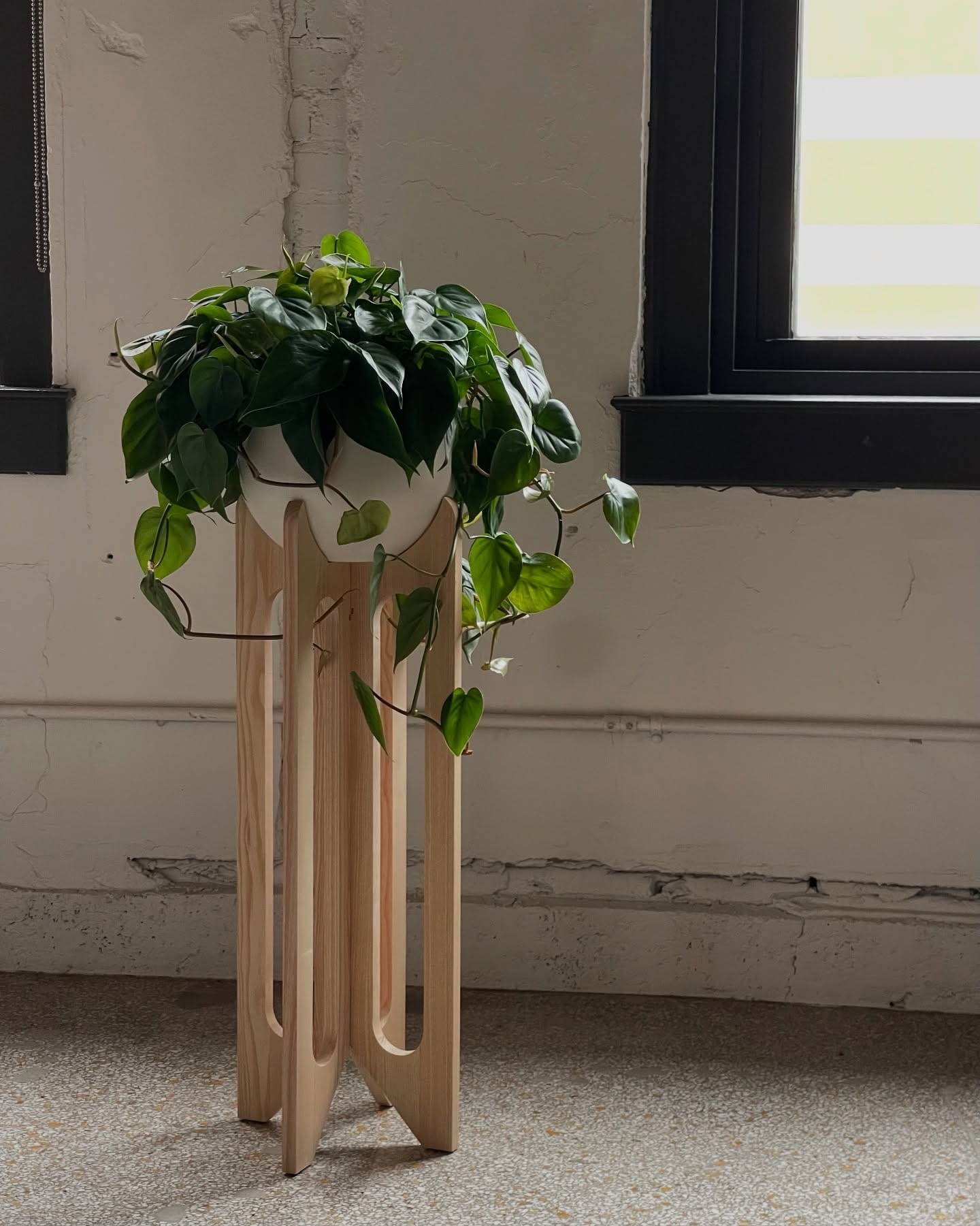 Multi-level plant stand with various plants