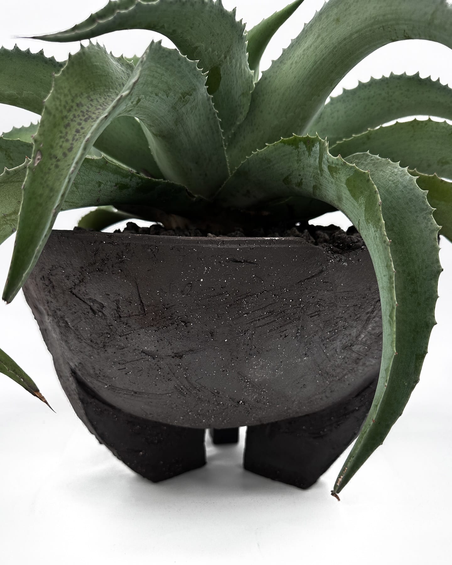 assorted cacti in artistic ceramic pots on a record cabinet
