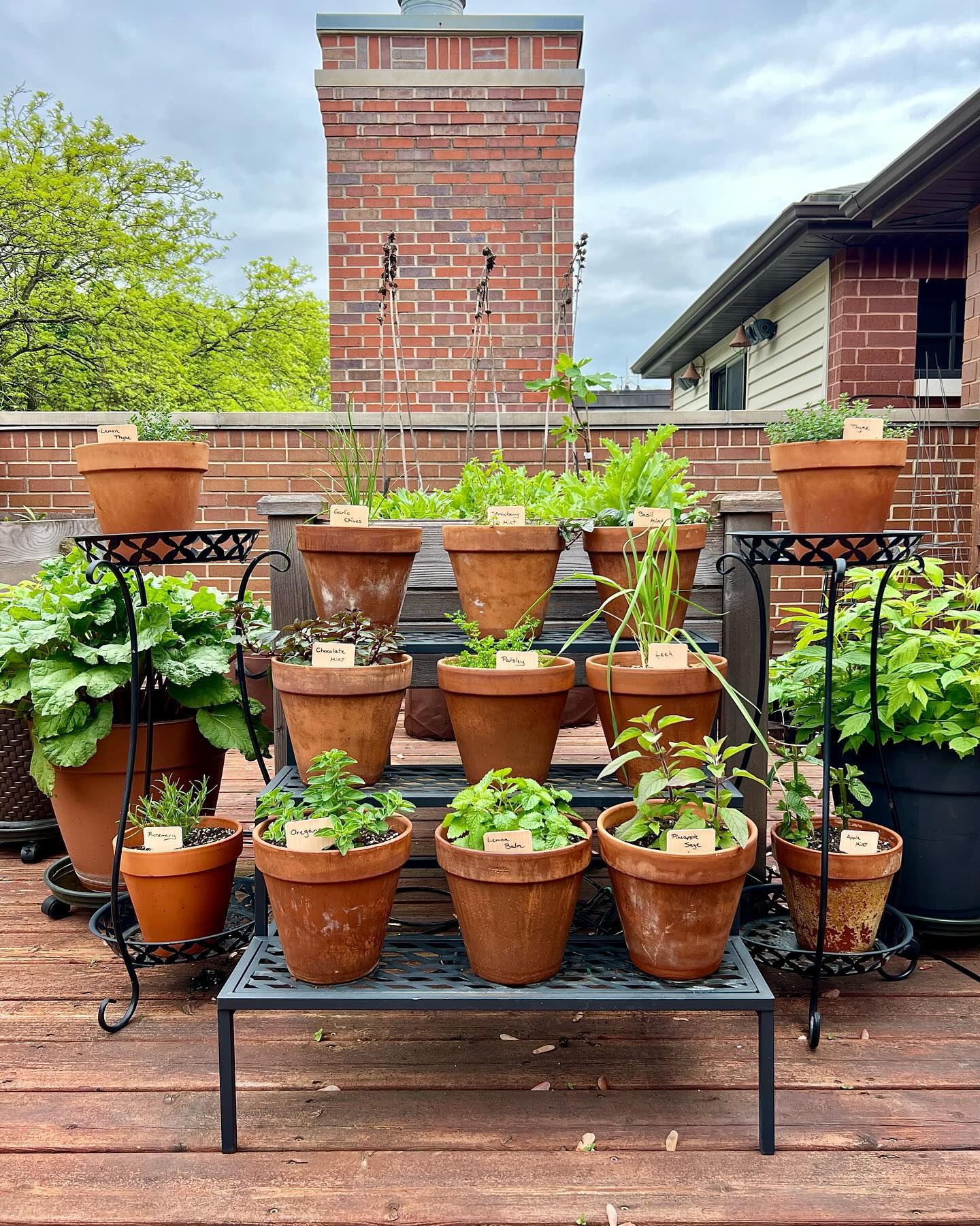 Wrought iron herb garden stand with various herbs