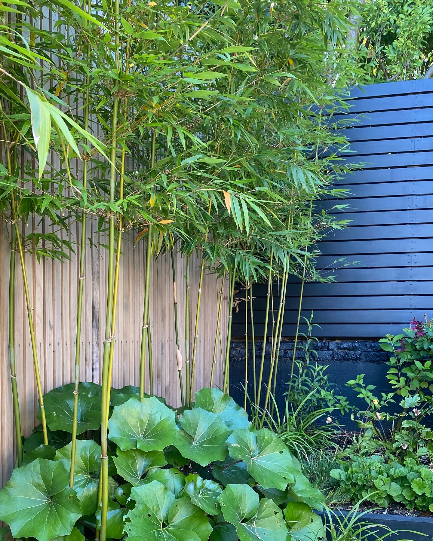 bamboo stalks in a glass vase