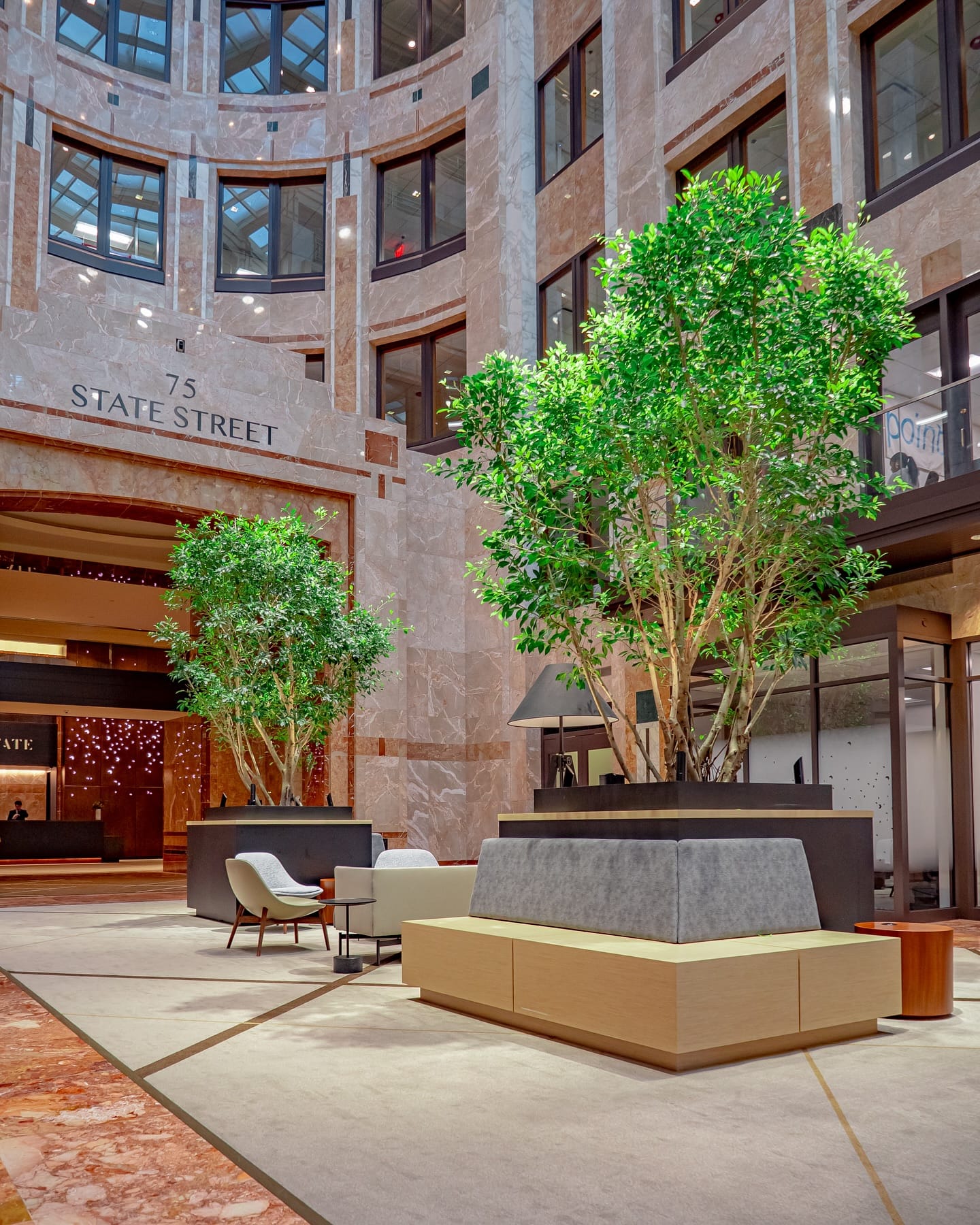 Plants in underutilized space beneath stairs