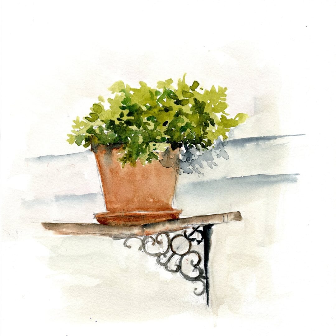 watercolor ombre planters with vines