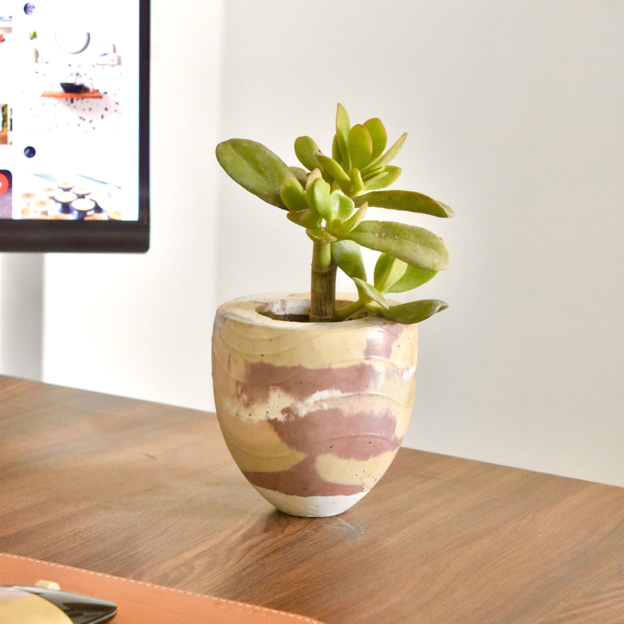 concrete planter with wooden base
