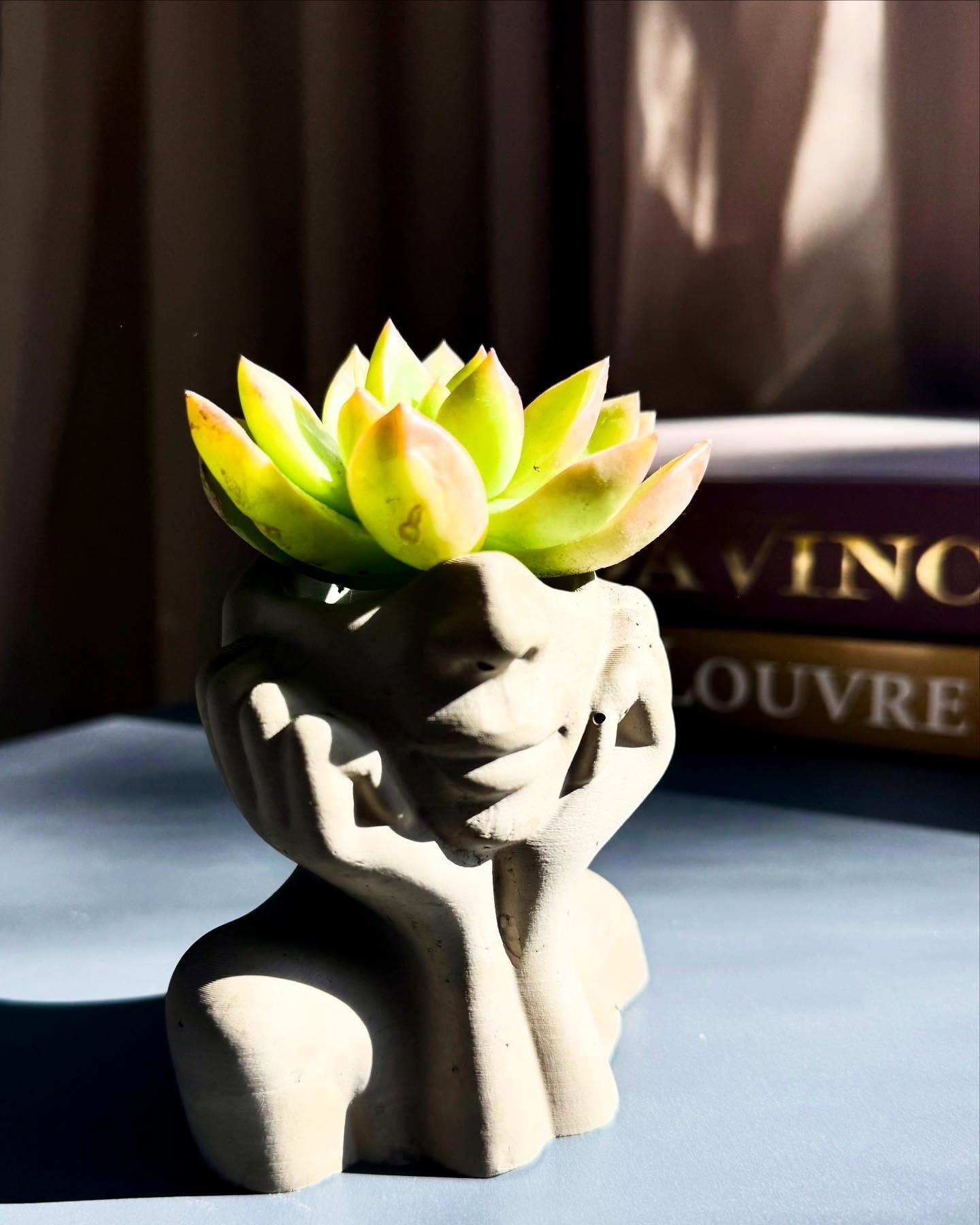 artistic concrete planter sculpture