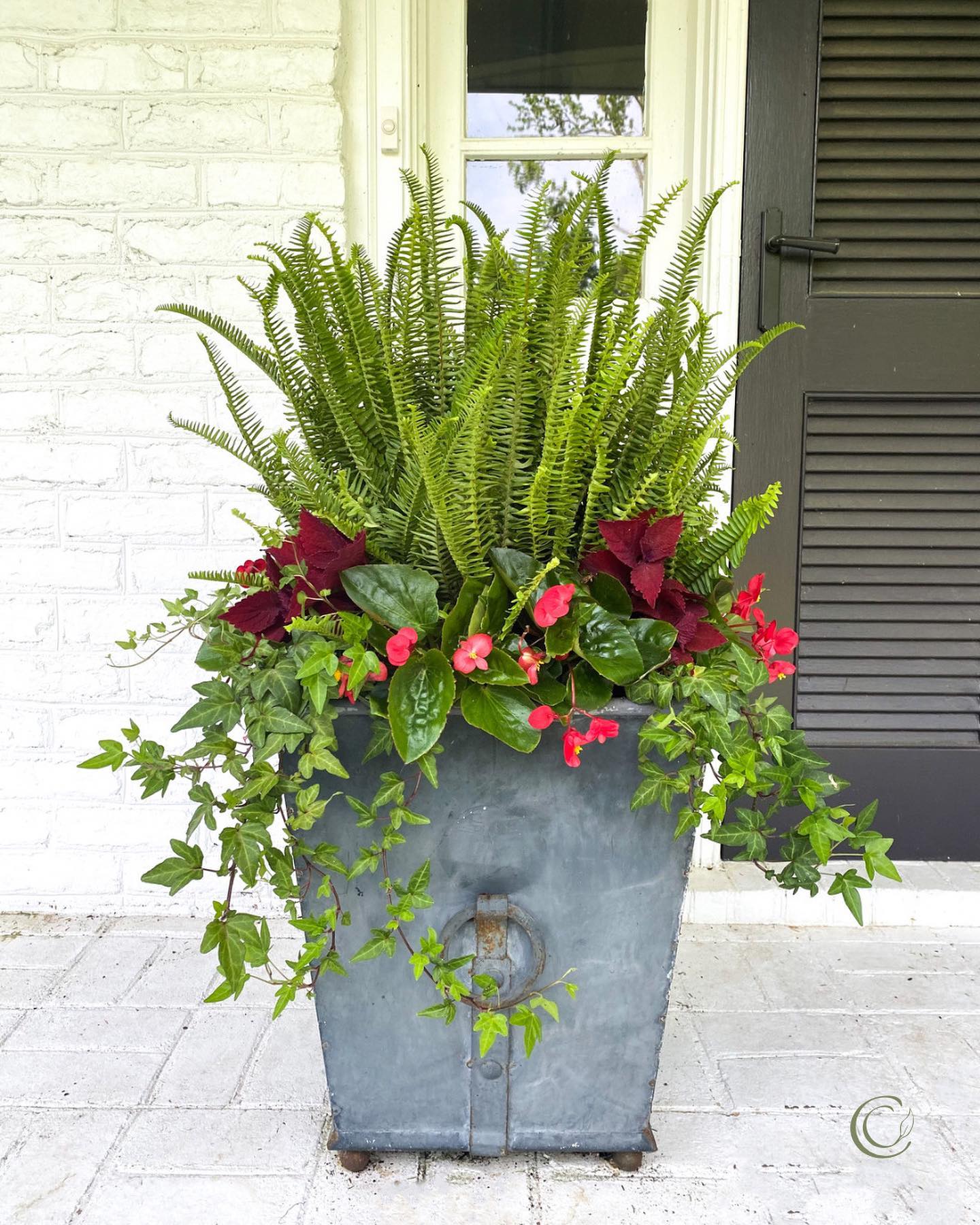 Natural jute rug with lush ferns in hanging planters