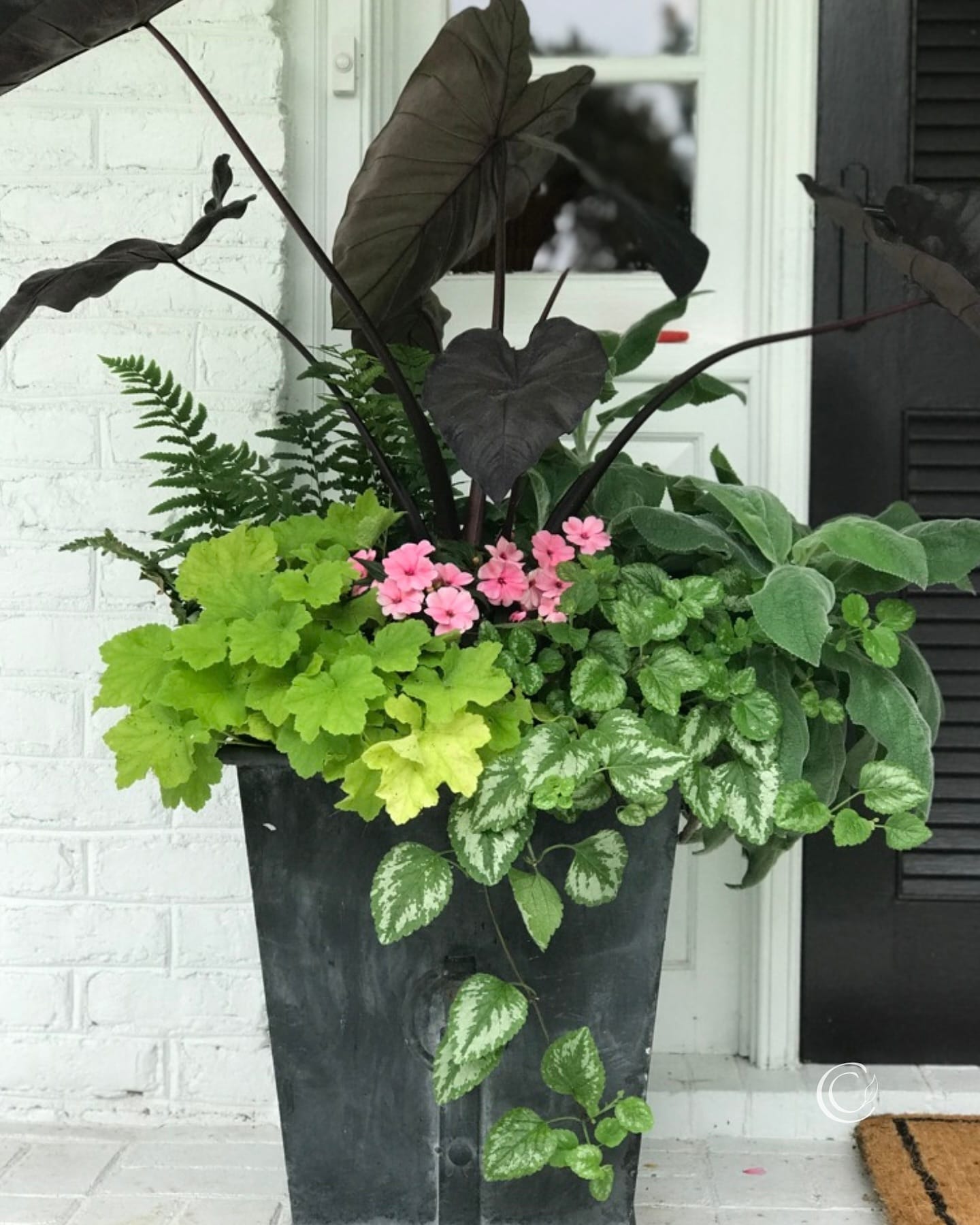 oversized metal planter with palm