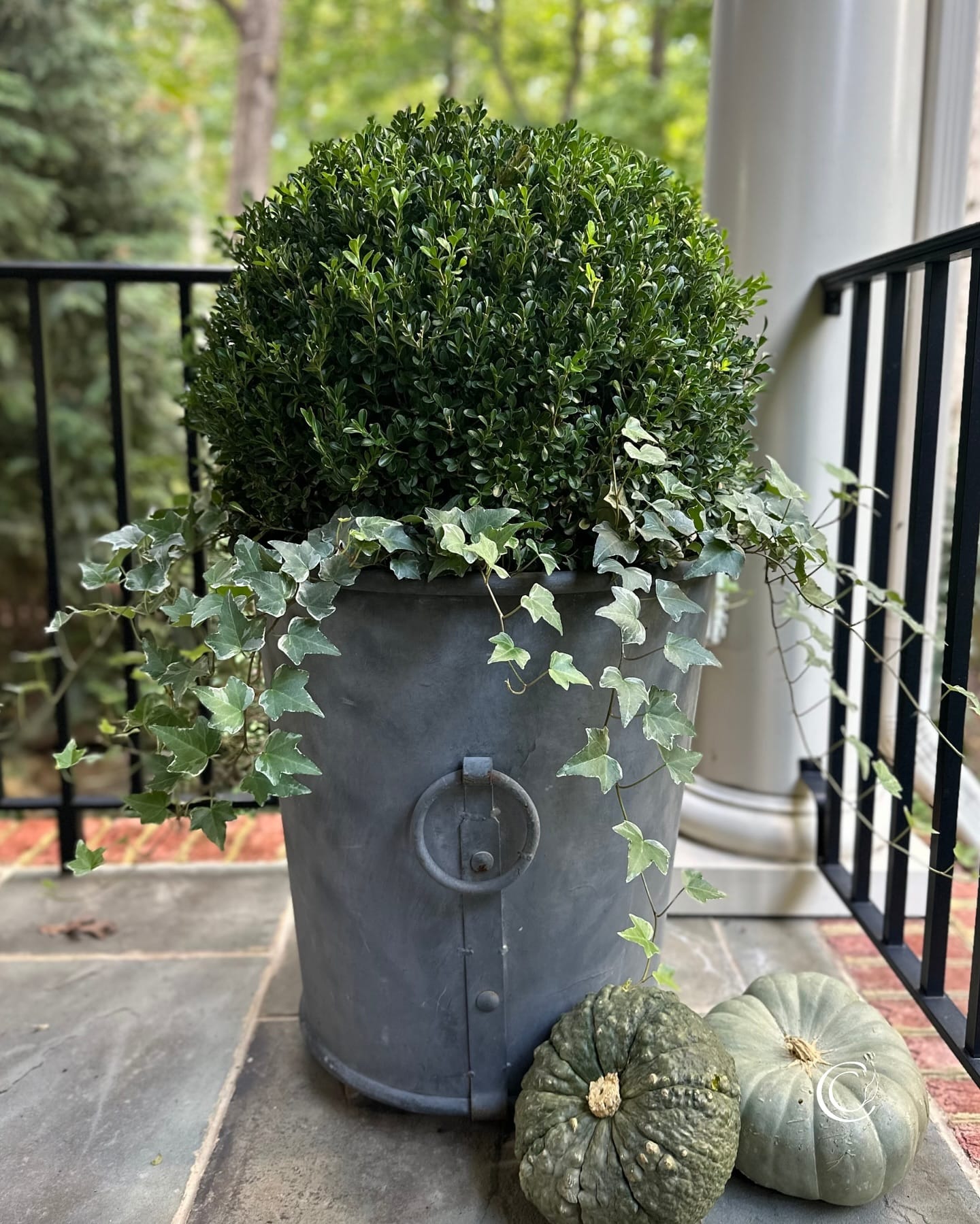 galvanized steel planter with succulents