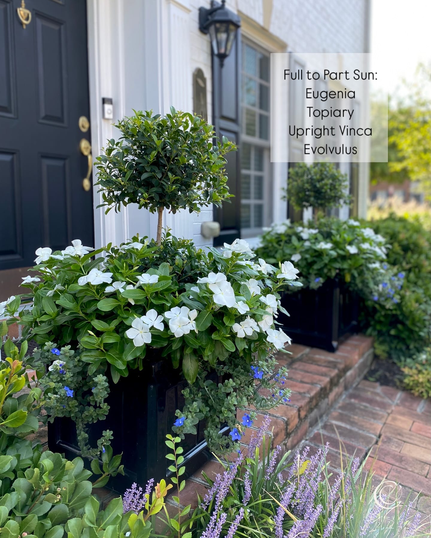 varied pot sizes on a patio