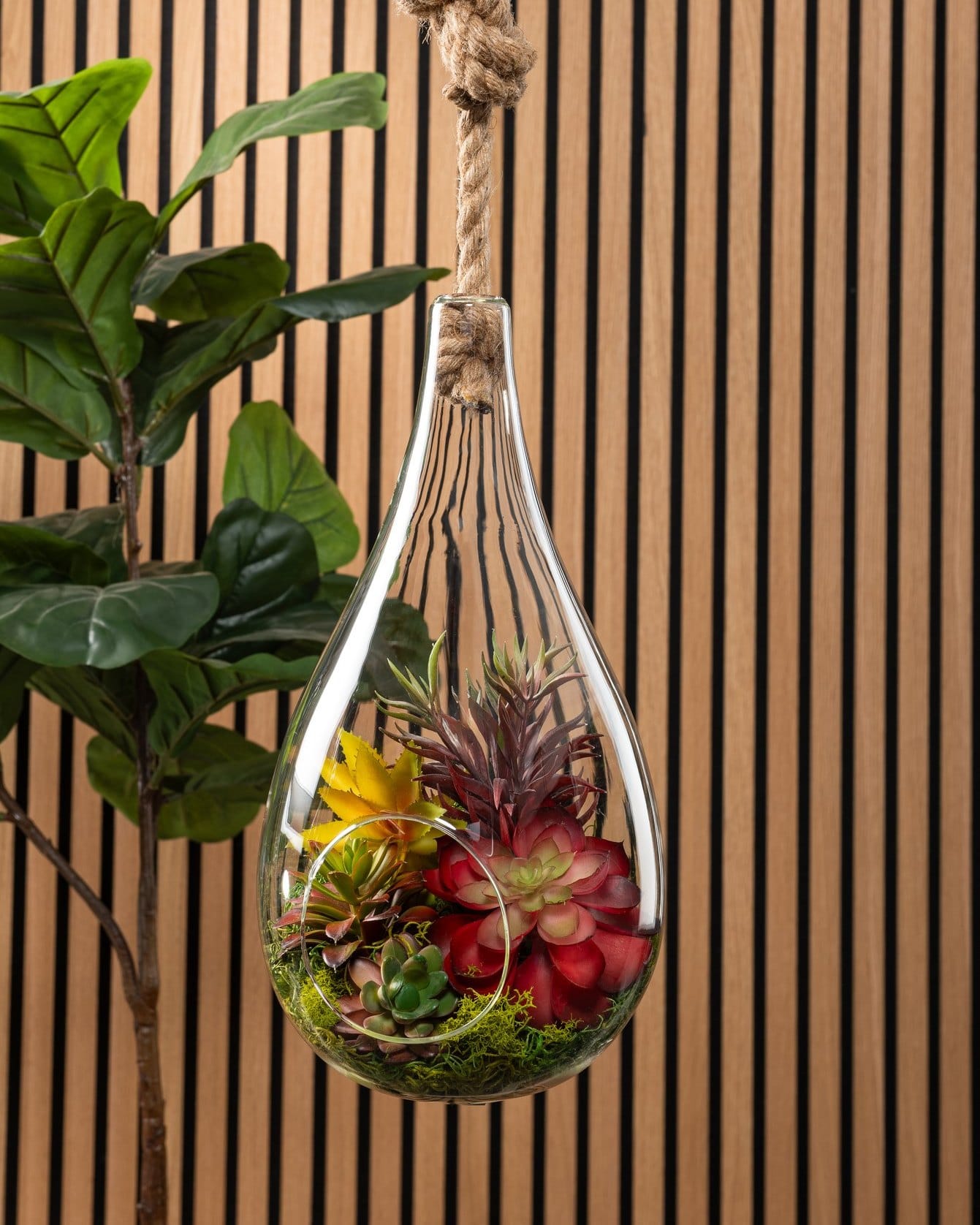 glass terrariums with air plants