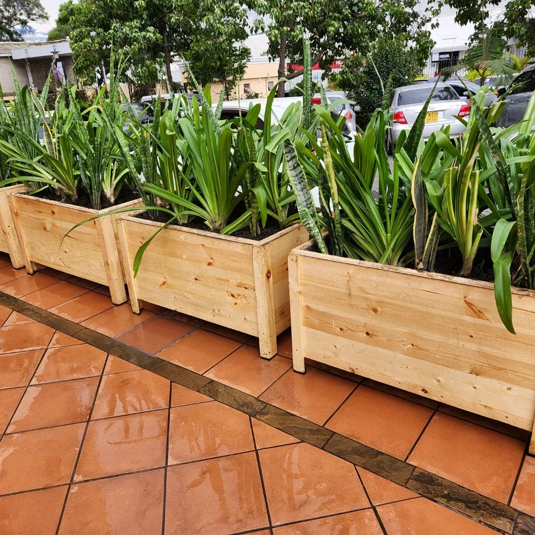 White and wood planter box with herbs
