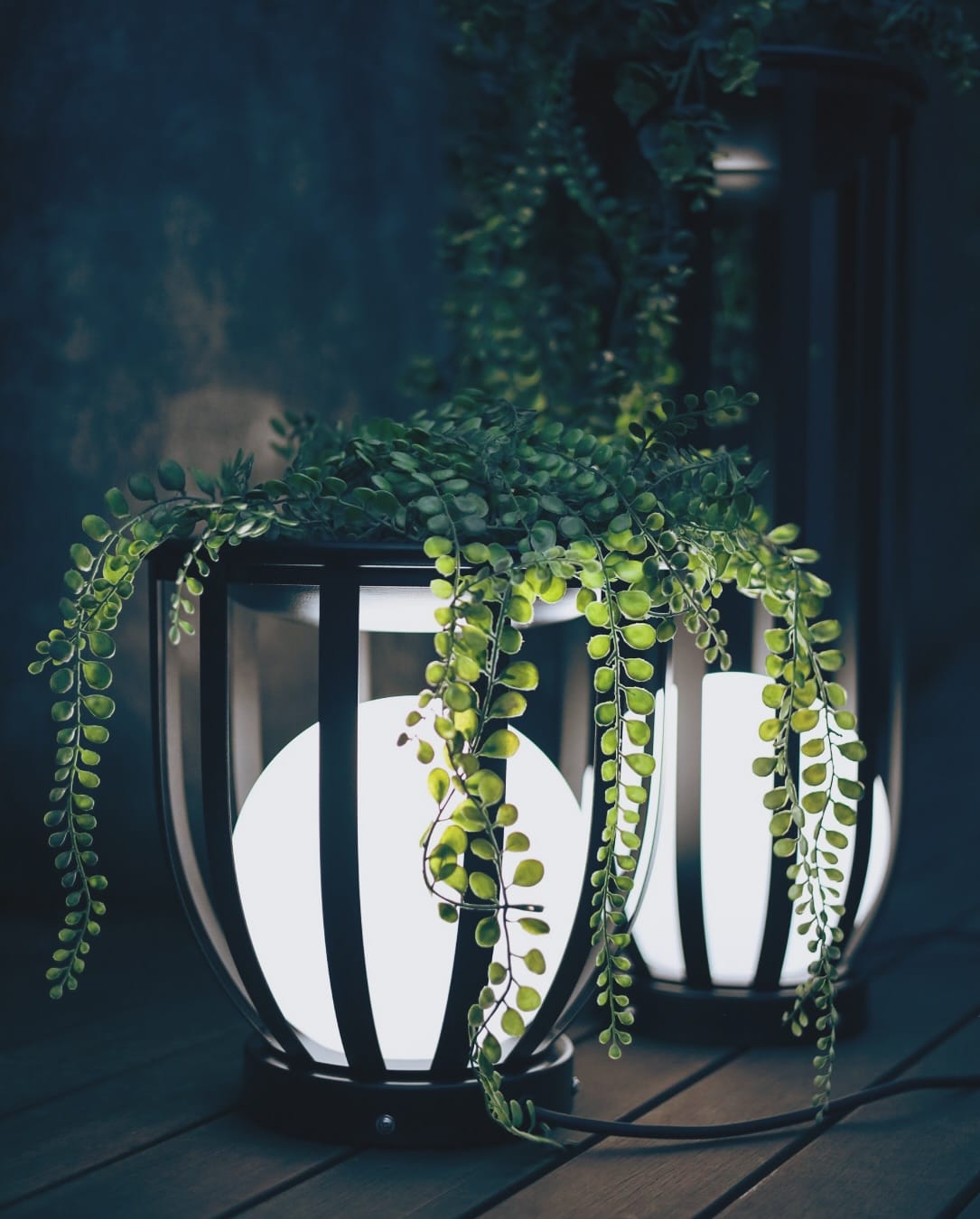 floor lamp projecting plant shadows