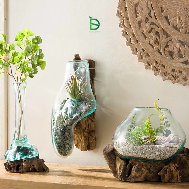 tilted glass terrarium with succulents