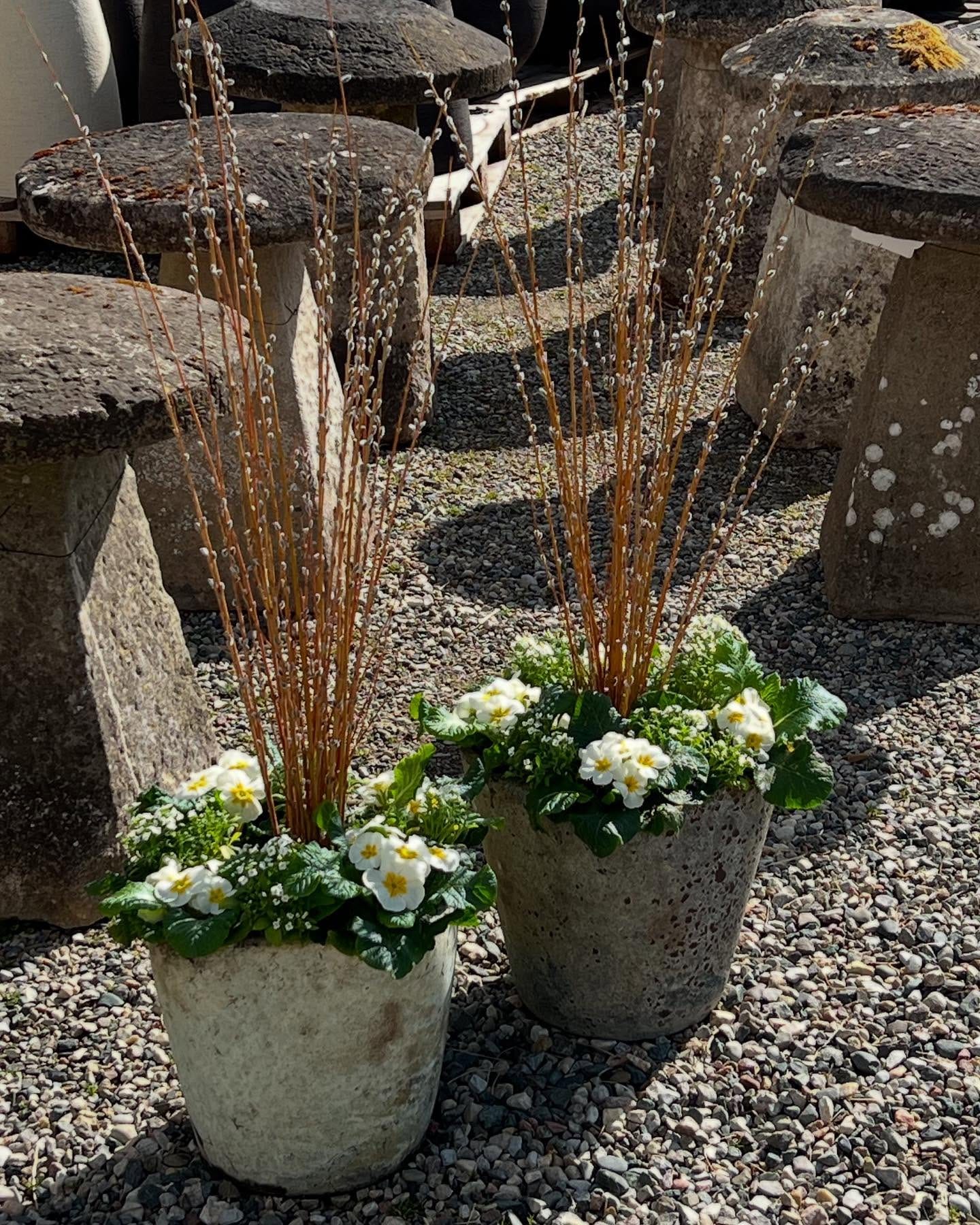 White decorative stones in plant pots