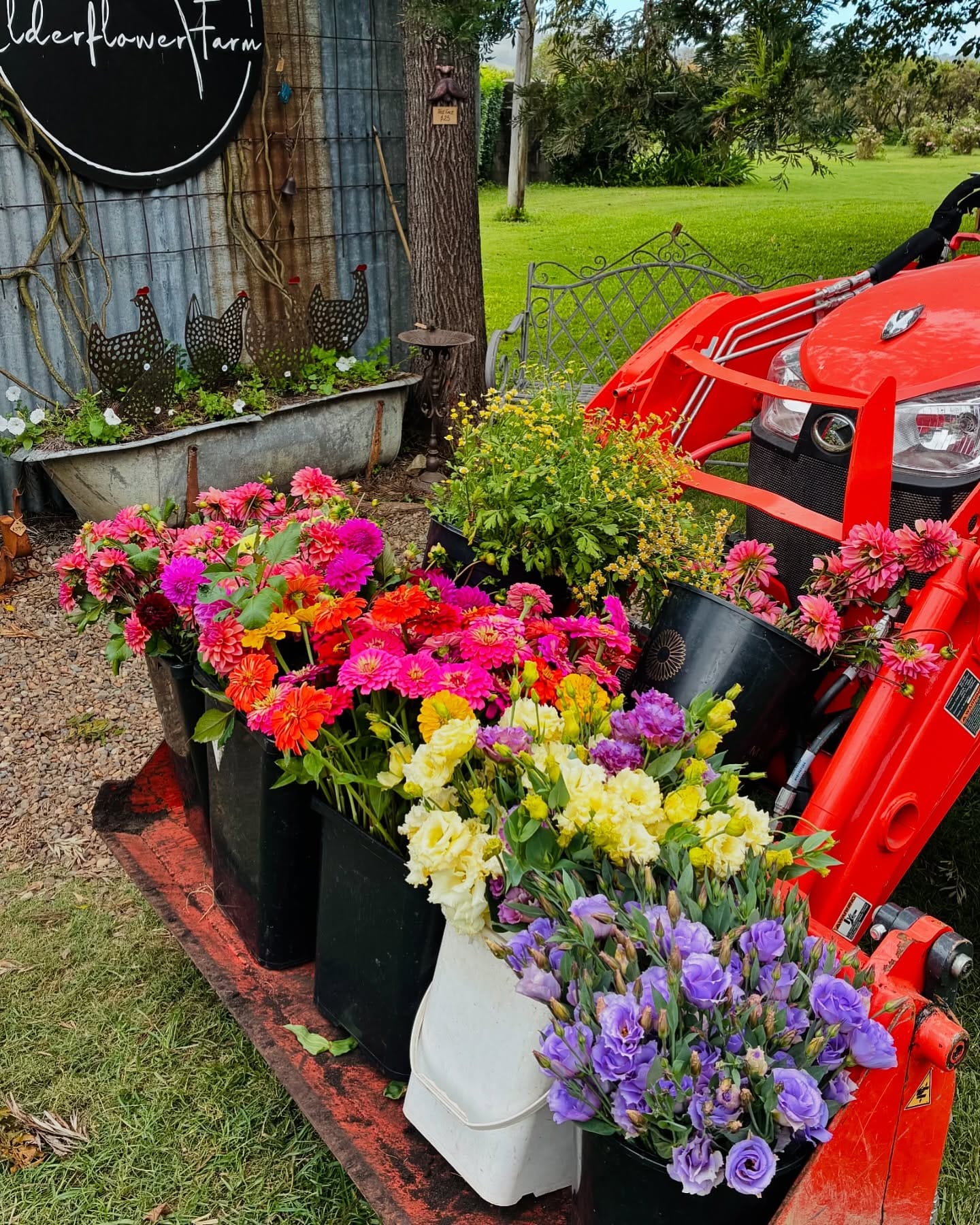 Edible flowers in a vintage watering can