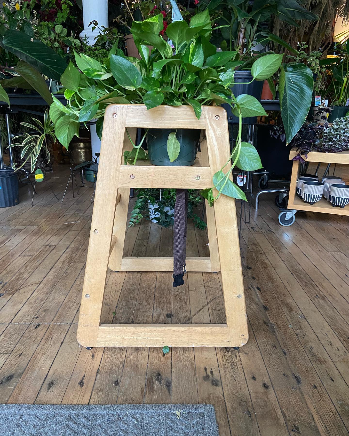 Scandinavian rustic wooden plant stand display