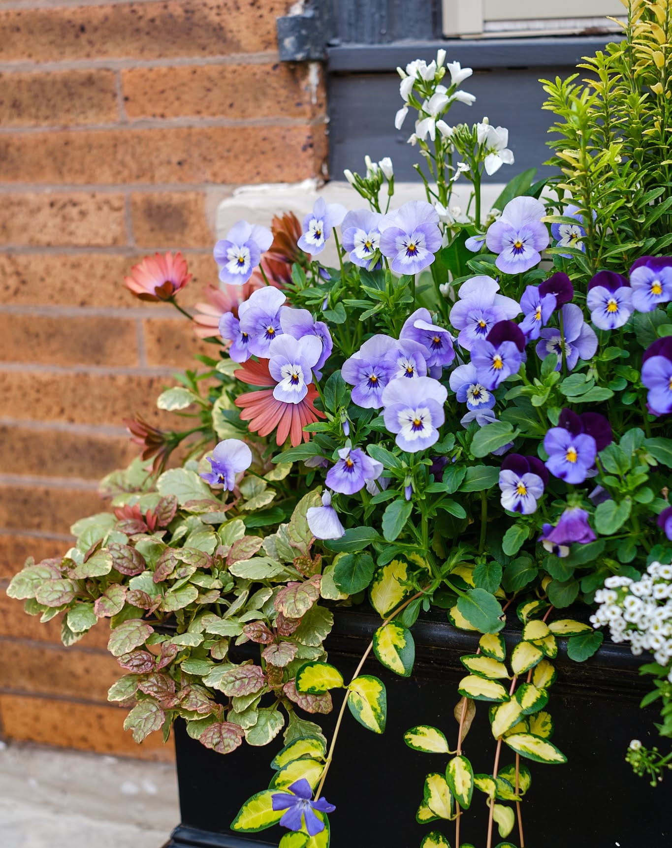 Wrought iron stand with seasonal flowers