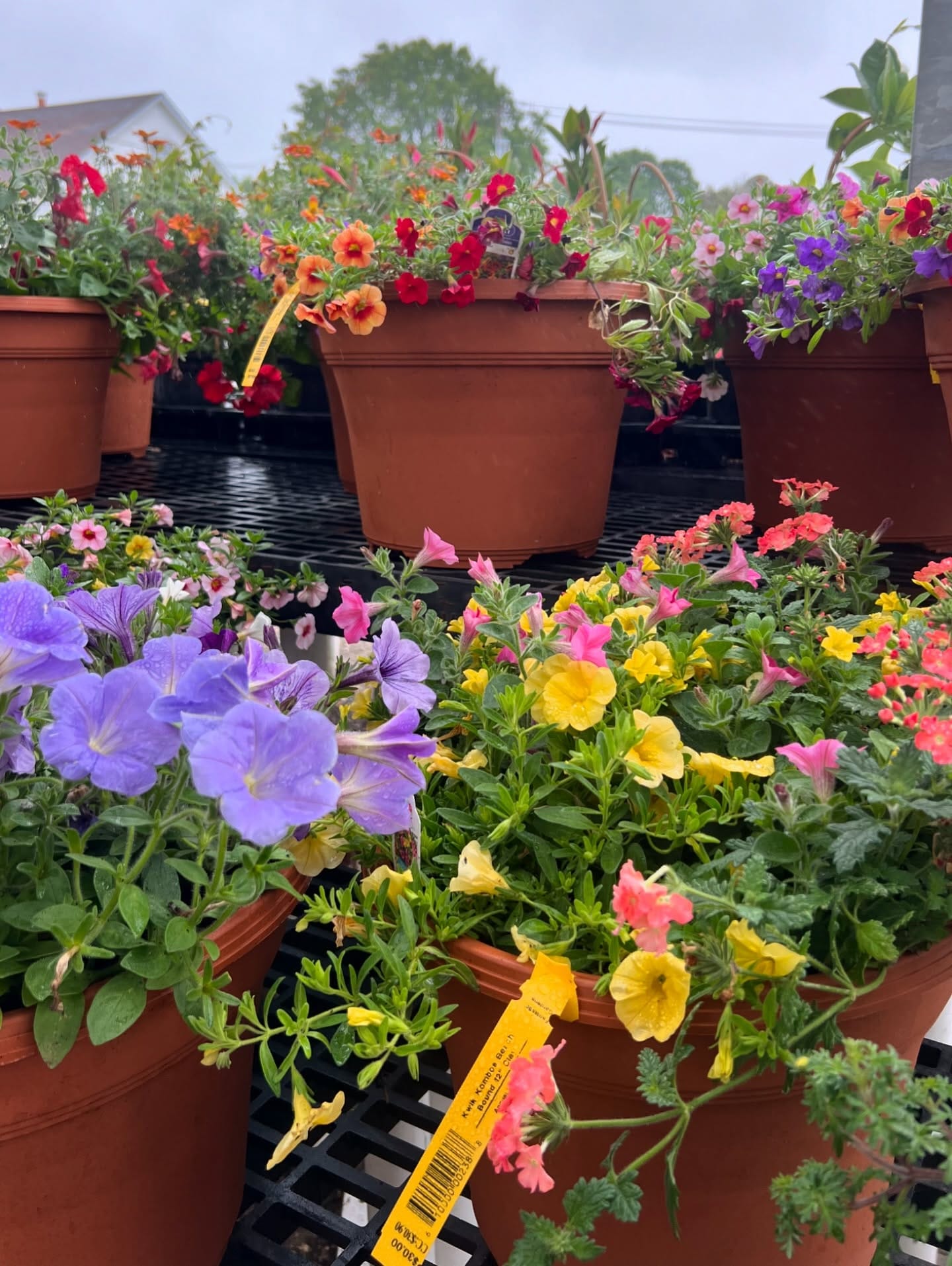 hanging garden with stacked trunks