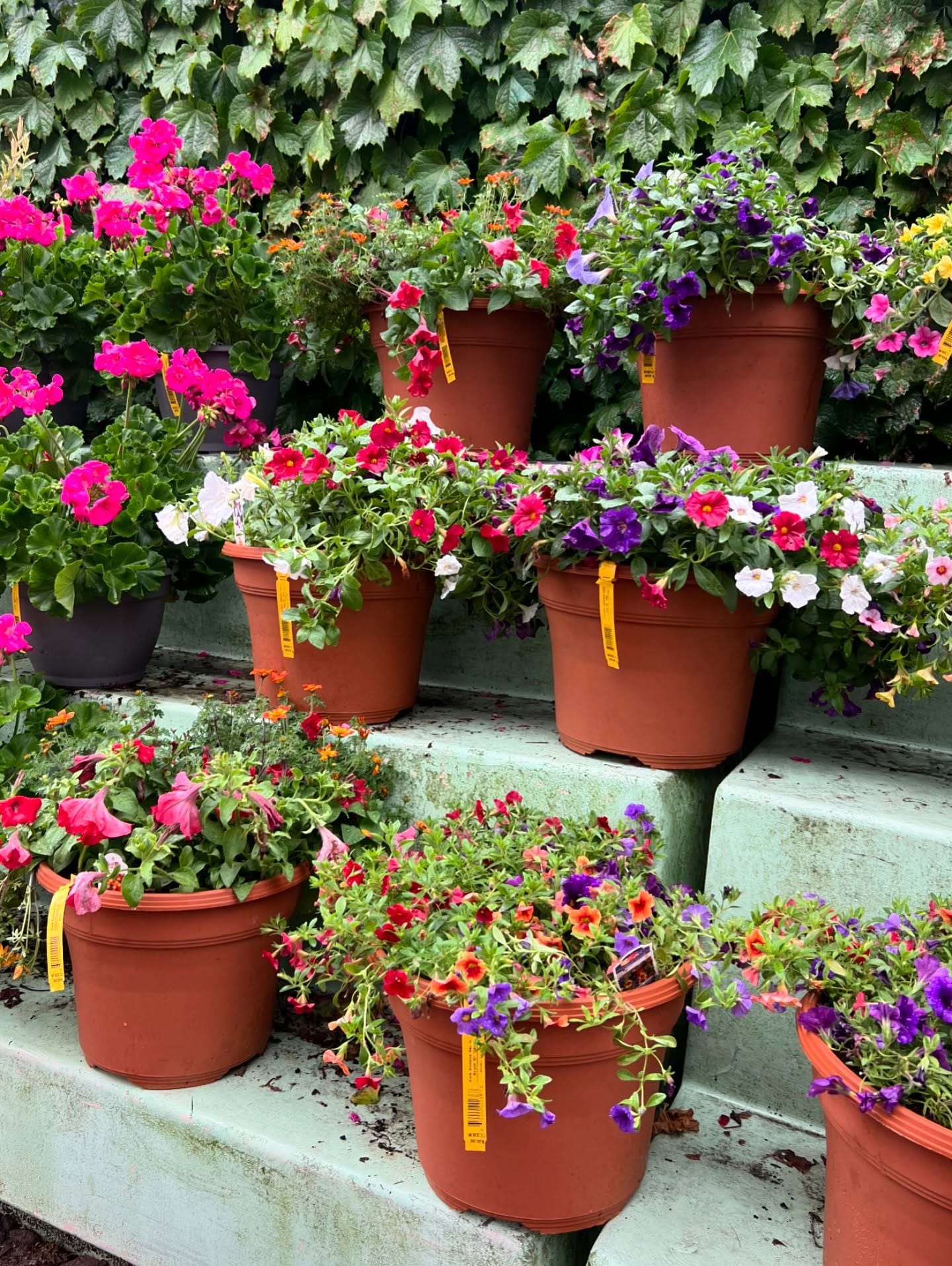 tall garden column with plants