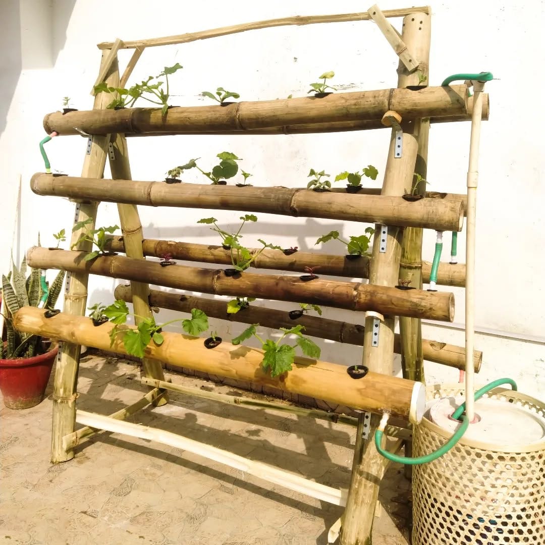bamboo tube planters with greenery