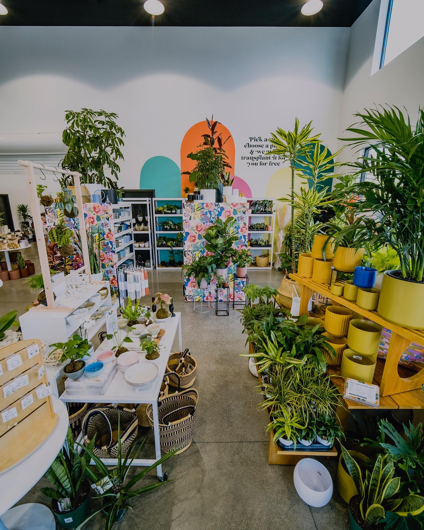 decorative objects with plants