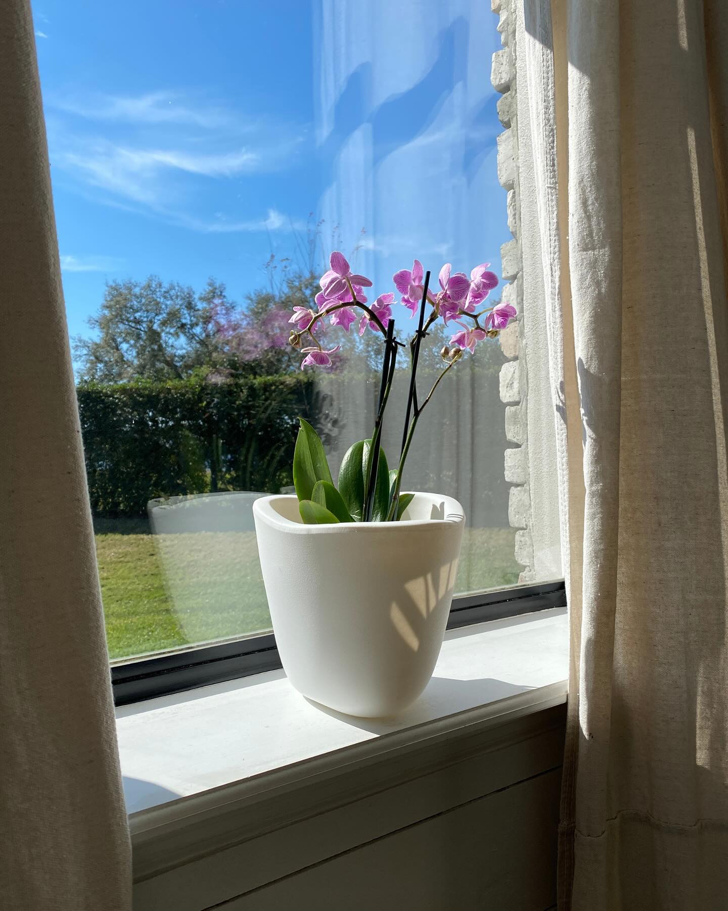 small marble-look planters with cacti on window sill