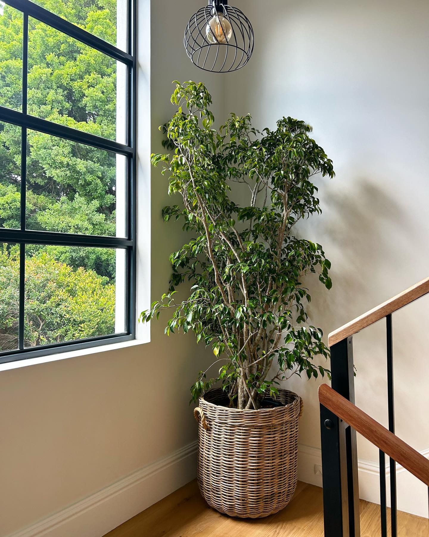 Multi-tiered stand with succulents