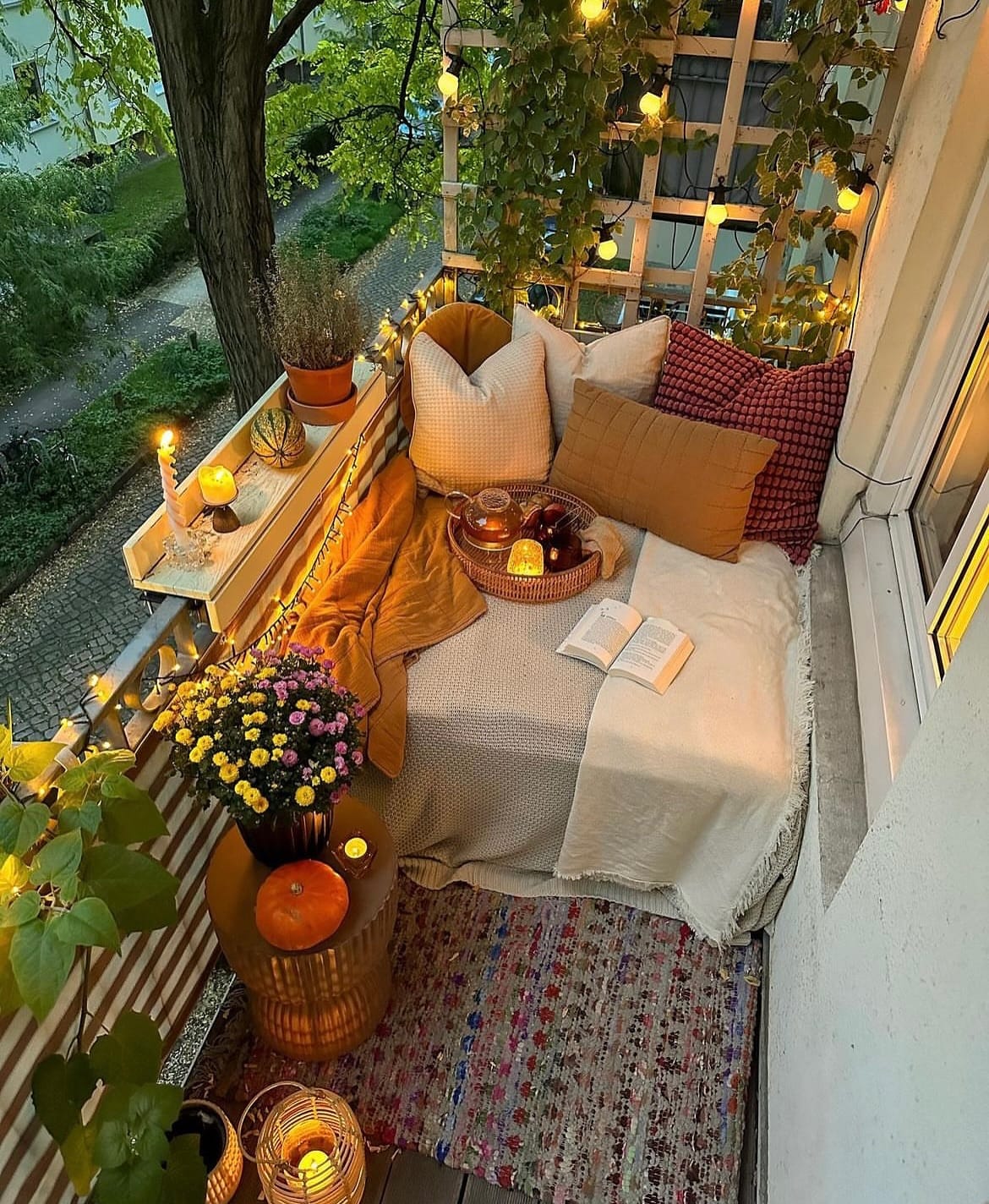 Twinkling fairy lights over a plant corner