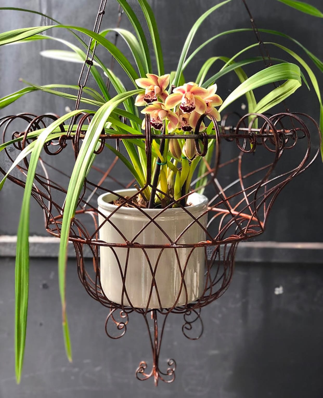 Hanging planters with vines on wrought iron stand