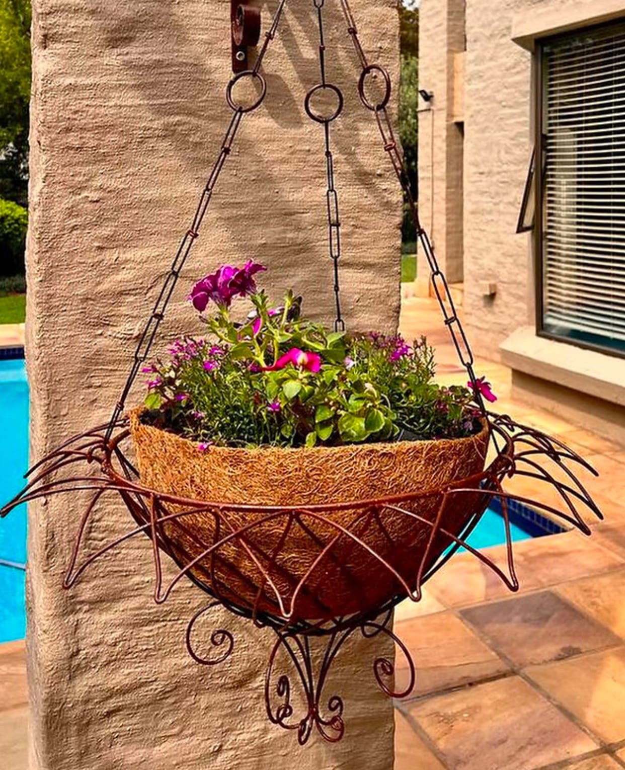 metal hanging basket with ferns