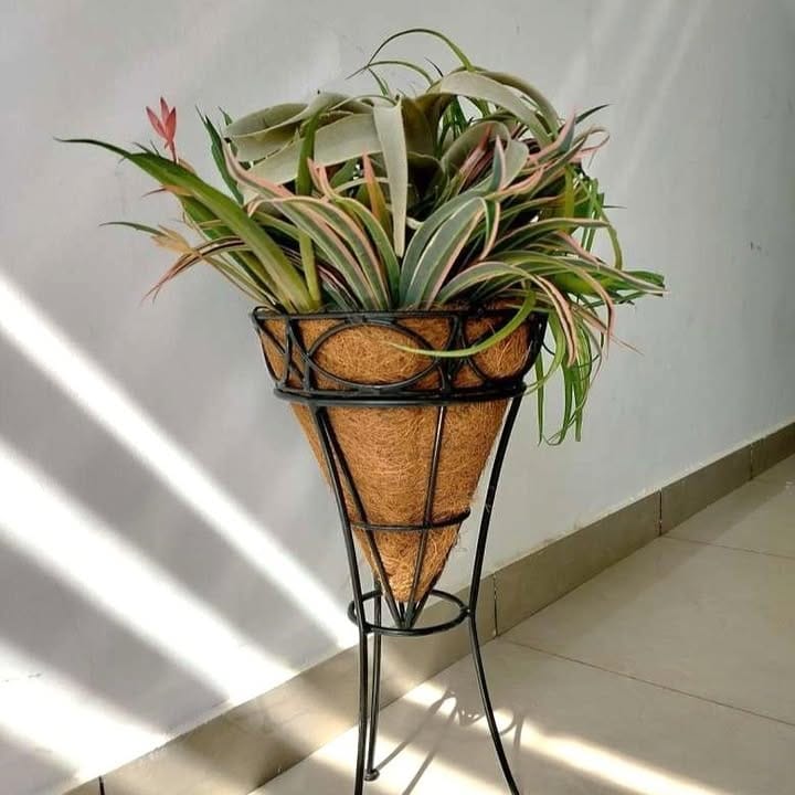 Industrial metal wire basket with potted herbs