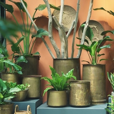 kitchen shelf with brass planter
