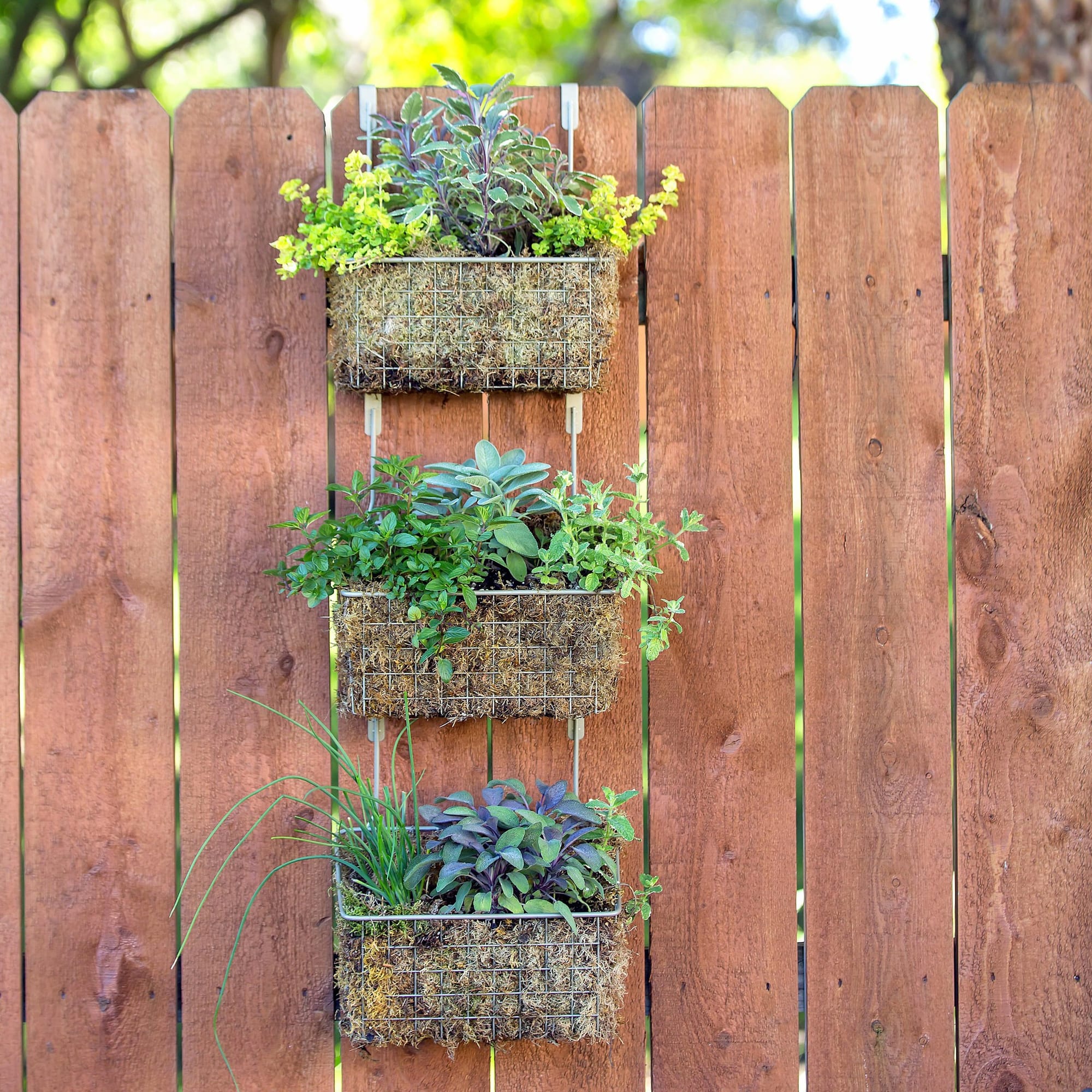 Creative hanging garden with repurposed wooden crates