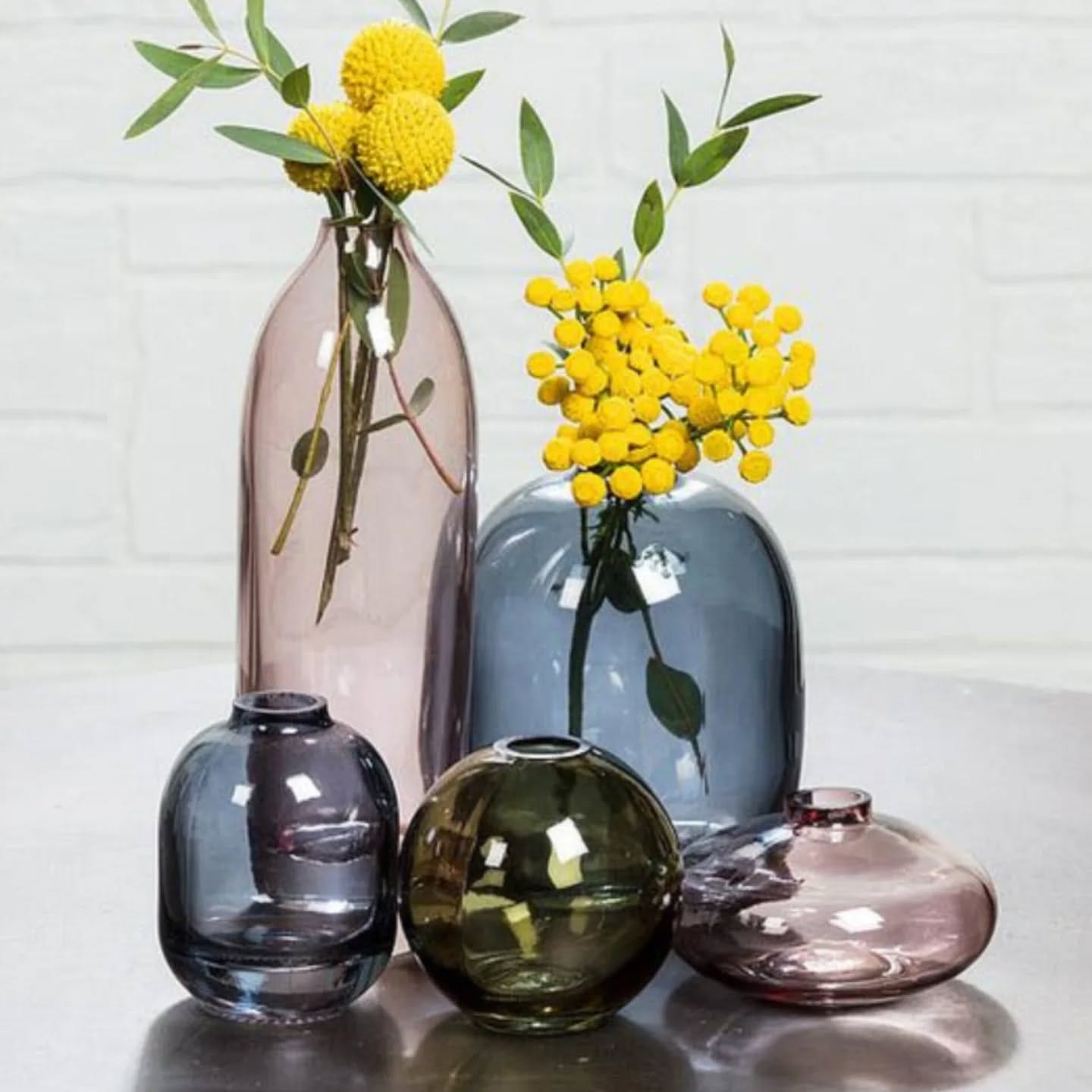 Elegant philodendron in clear glass vessel